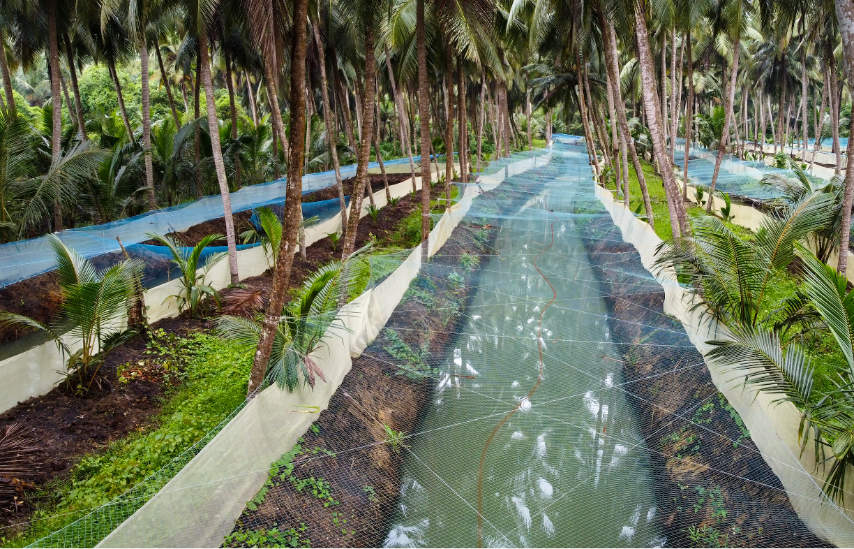 Fish Farm